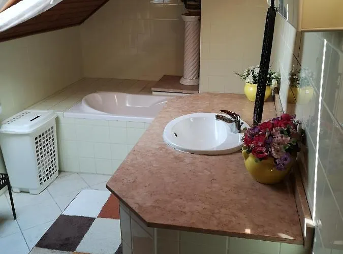 公寓 幸运公寓 *